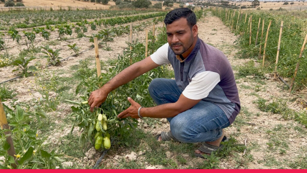 Portugal Immigrants Age