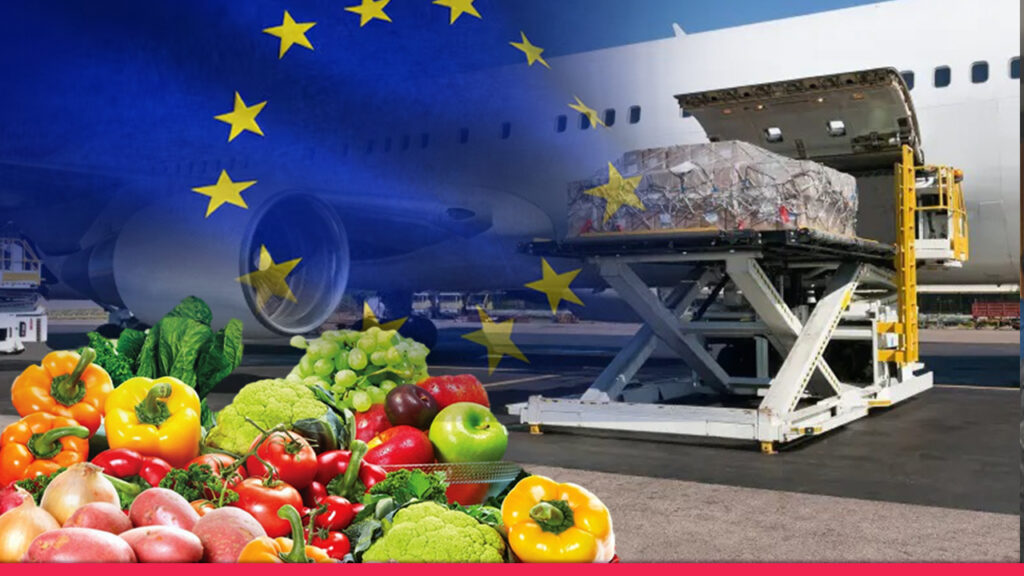 মধ্যপ্রাচ্য সংকটে ইউরোপে সবজি রপ্তানি বন্ধ: বড় অঙ্কের লোকসানের মুখে বাংলাদেশ